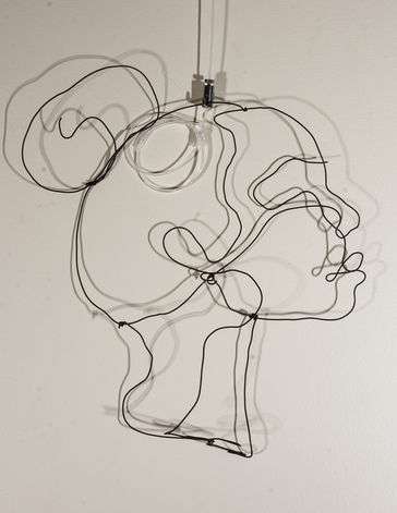 metal wire face
